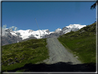 foto  Da Crest verso il Lago Ciarcerio